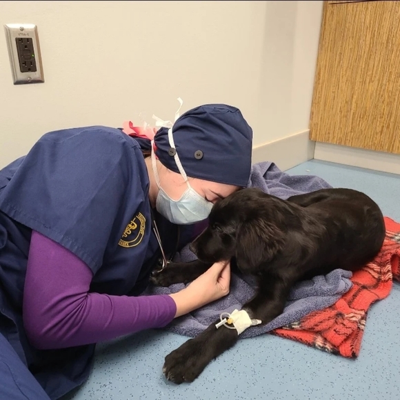 Meet your Posher, Chelly - Picture 2 of 10